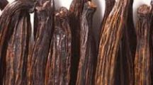 global vanilla beans market
